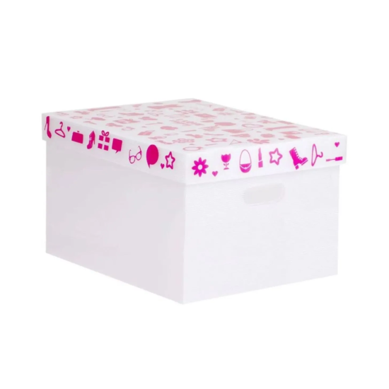 Caixa Box Desmontável Organizadora G - Natural