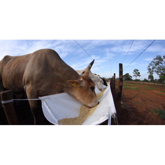 Cocho Para Gado Em Tecido - 1,00 X 10 Mt