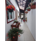 Telha Transparente PET Thermo - Tettolit 